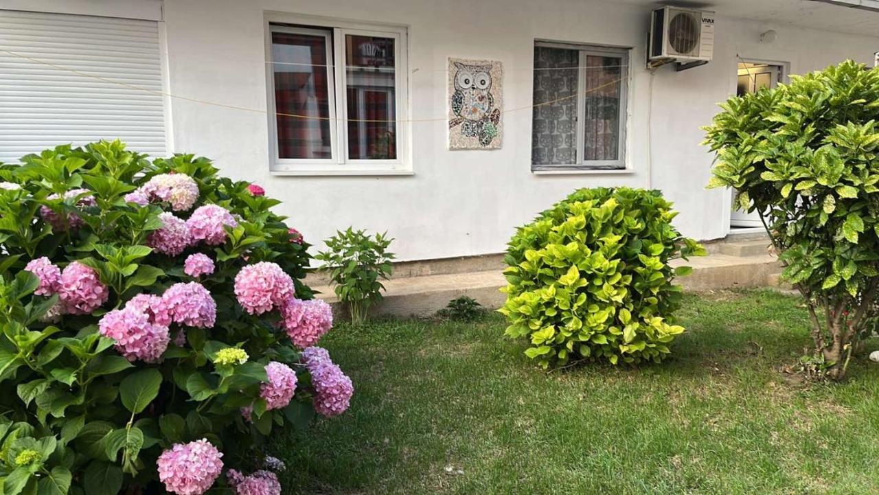 Apartment Aleksandra Bar Esterno foto